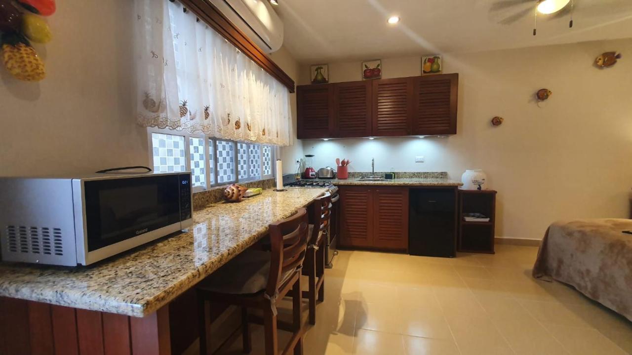 Coralito Malecon Luxury Studio إيسلا موخيريس المظهر الخارجي الصورة