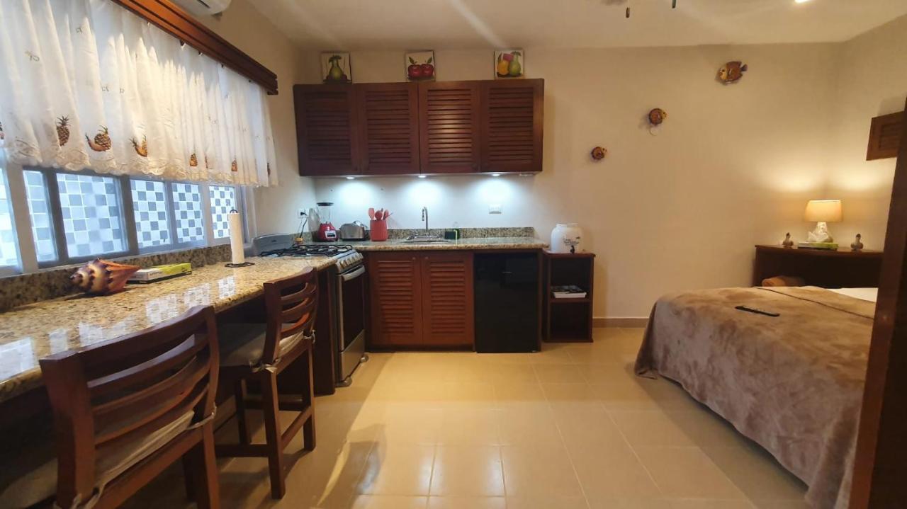 Coralito Malecon Luxury Studio إيسلا موخيريس المظهر الخارجي الصورة