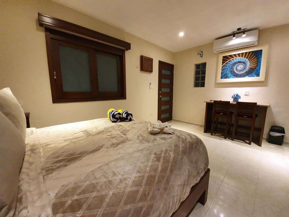 Coralito Malecon Luxury Studio إيسلا موخيريس المظهر الخارجي الصورة